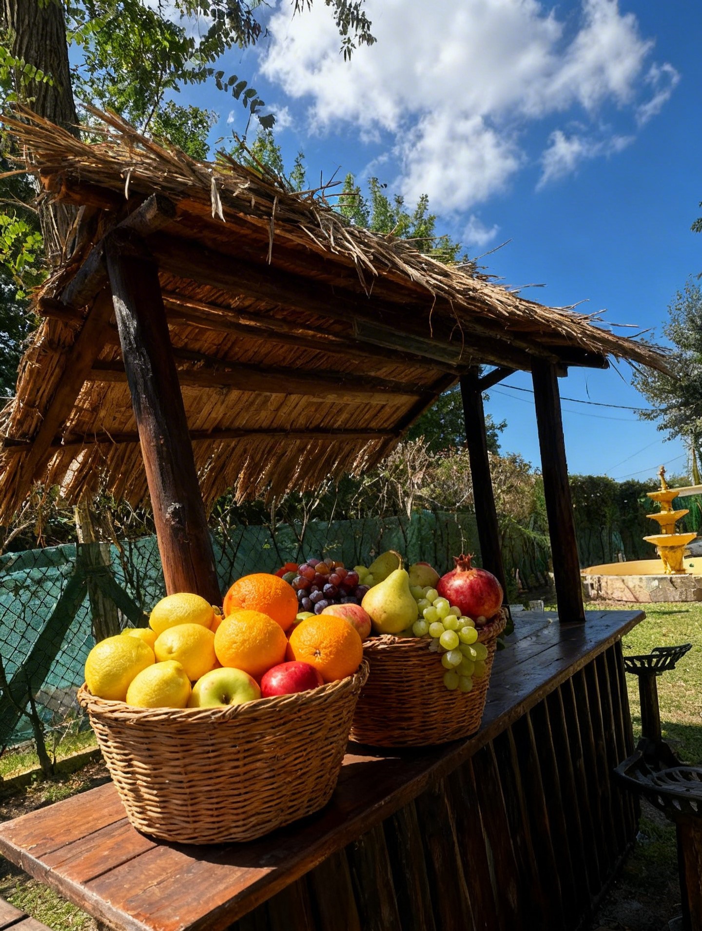 Quincho vista lateral