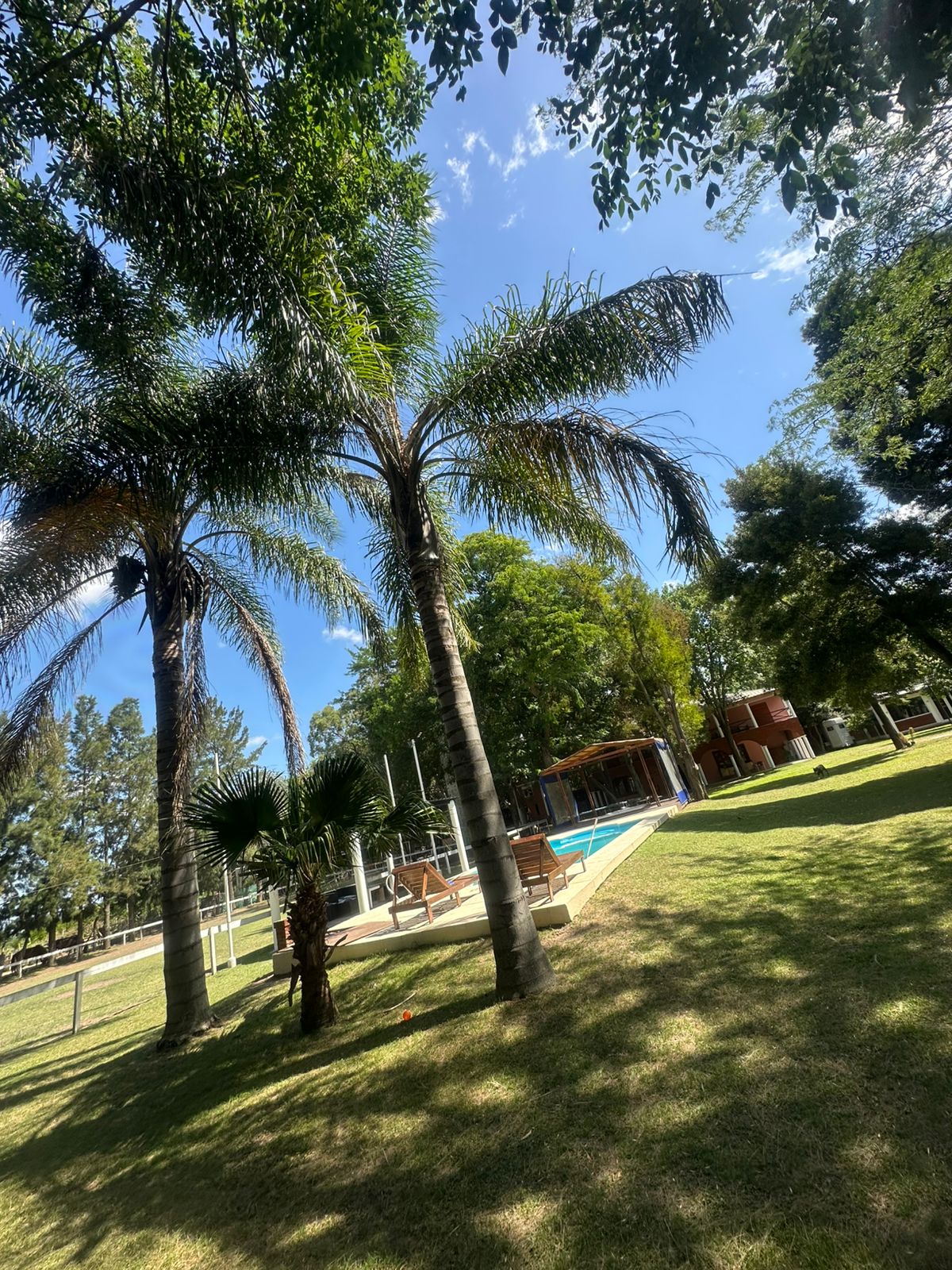 Habitación 3